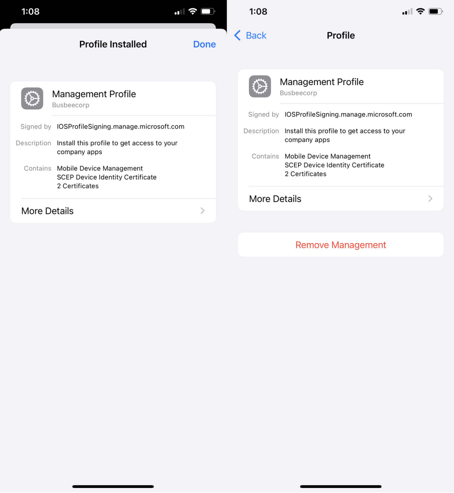Install management profile in iPhone settings