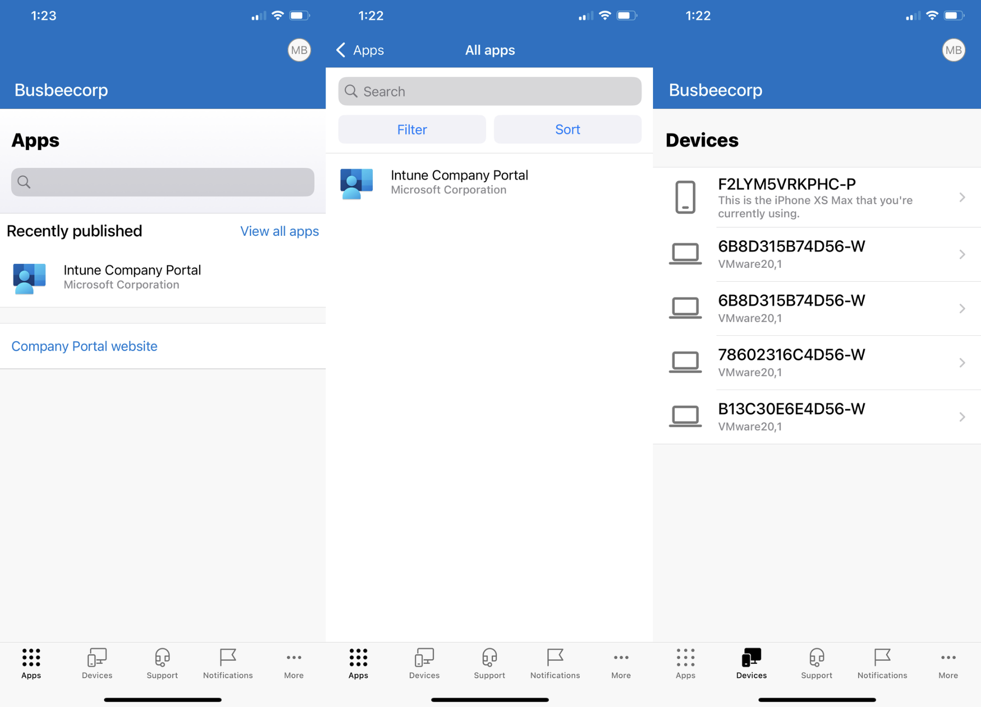 Successful profile installation and management screen